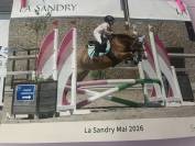 Poney &agrave; vendre 