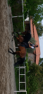 Se vende caballo PRE casta&ntilde;o 4,5 a&ntilde;os
