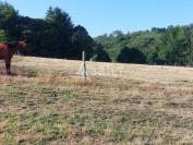 Propri&eacute;t&eacute; agricole d'environ 50 ha dans le Parc Naturel R&eacute;gio