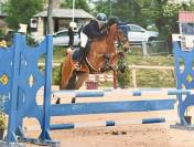 Petit cheval CSO pour enfant 