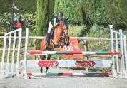 Petit cheval CSO pour enfant 