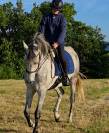 Vente cheval pour du loisir 
