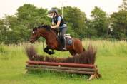 Poney de sport &agrave; vendre ou &agrave; louer