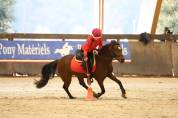 Poney de sport &agrave; vendre ou &agrave; louer
