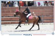 &Agrave; VENDRE &ndash; Poney sport CSO - 10 ans
