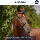 SURBOUM - PS - 4 ANS 
