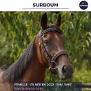 SURBOUM - PS - 4 ANS 
