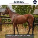 SURBOUM - PS - 4 ANS 