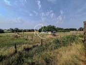 Propiedad ecuestre En venta Orne