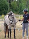 Poney 4 ans cycle classique