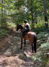Gentil cheval 6 ans 