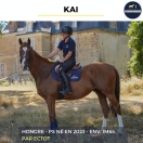 KAI - PS - 3 ANS