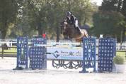 Foal origines exceptionnelles