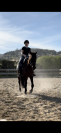 D&eacute;bourrage cheval &ndash; Travail du jeune cheval 