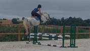 Poney D 4ans par Dexter leam pondi