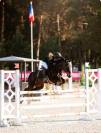 Yegua PFS Poni Fran&ccedil;&eacute;s de Silla Pr&eacute;stamo 2017 Negro por WELCOME SYMPATICO