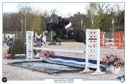 Yegua PFS Poni Fran&ccedil;&eacute;s de Silla Pr&eacute;stamo 2017 Negro por WELCOME SYMPATICO