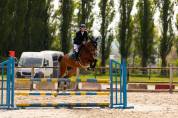 Jument 9 ans par Andiamo Semilly 