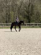 Petit cheval CSO