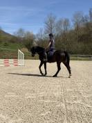 Petit cheval CSO