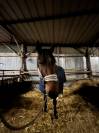 Demi pension cheval 