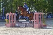 Hongre ma&icirc;tre d&rsquo;ecole