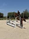 Fairplay de l&rsquo;oret SF