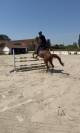 Fairplay de l&rsquo;oret SF