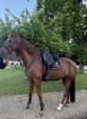 Fairplay de l&rsquo;oret SF