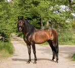 Sublime PRE de 4 ans 
