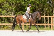 Sublime PRE de 4 ans 