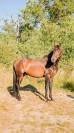 Sublime PRE de 4 ans 