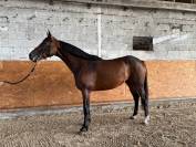 &Agrave; vendre 4 ans 