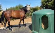Pr&eacute; Chevaux - Secteur 13 min d'Etampes (91)