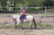 Naya ponette part Connemara 7 ans 