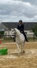 Vend poney Connemara 