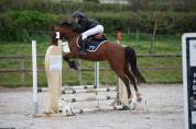 Poney D &agrave; vendre