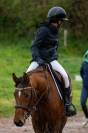 Poney D &agrave; vendre
