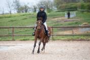 Poney D &agrave; vendre
