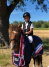 Poney B &agrave; louer ou &agrave; vendre 