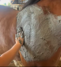 Massages phytoth&eacute;rapie Naturopathie
