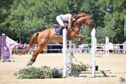 Jument CCE 10ans Alezane