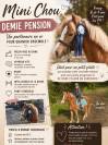 Plusieurs poneys &agrave; prendre en DP 