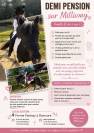 Plusieurs poneys &agrave; prendre en DP 