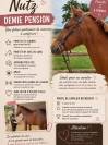 Plusieurs poneys &agrave; prendre en DP 