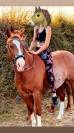 Adorable Hongre Quarter Horse