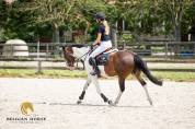 Vous cherchez le premier poney d'obstacle id&eacute;al ?
