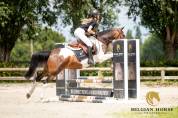 Vous cherchez le premier poney d'obstacle id&eacute;al ?