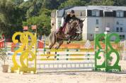 Cheval de sport 
