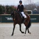 jument assurance vie pour dressage amateur